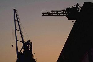 シーズニングの効果と選び方を徹底解説|2026年最新ガイド