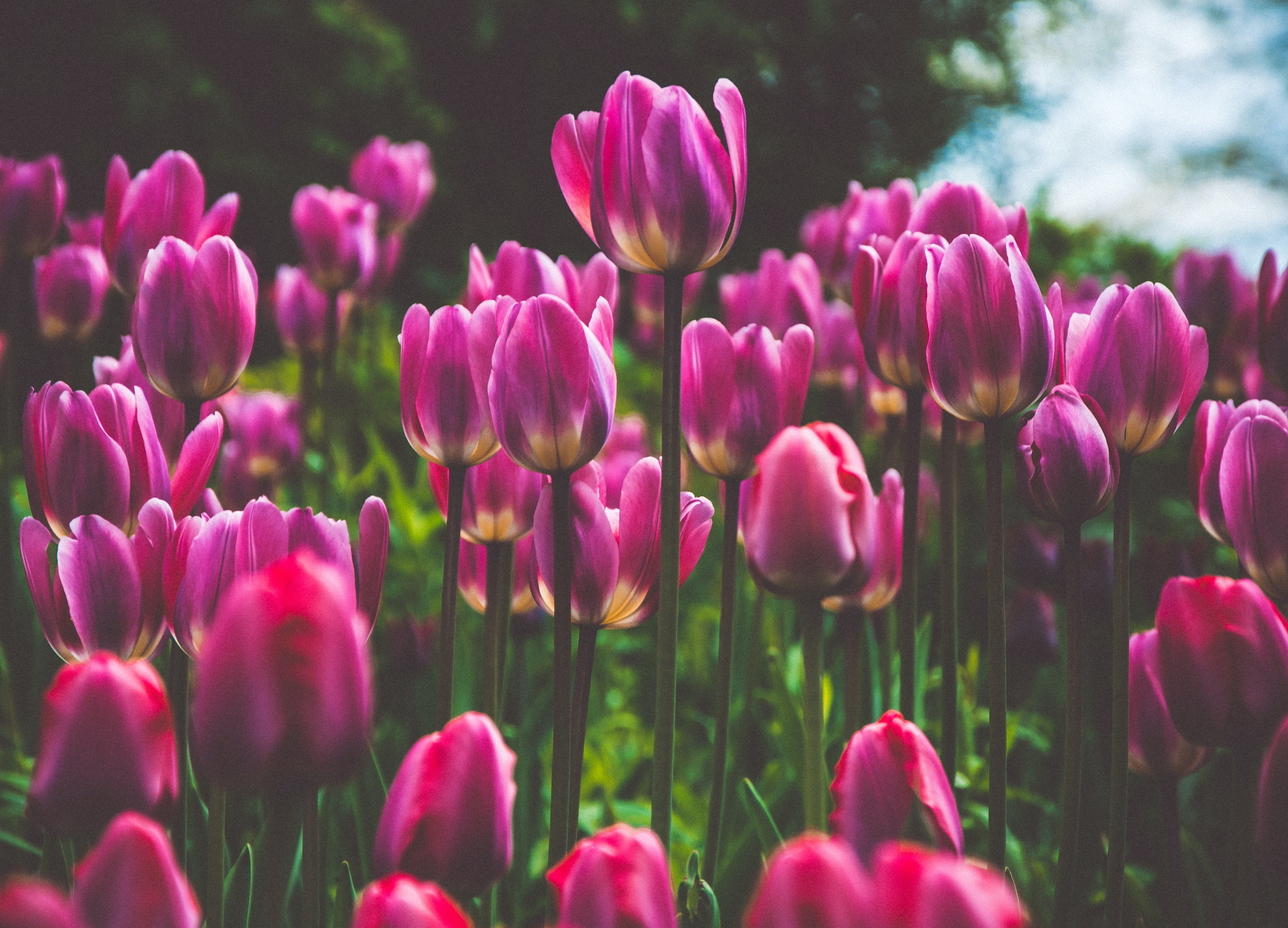高性能な機械が揃っています